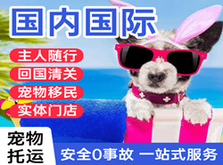 德宏空运公司国际宠物托运 【国